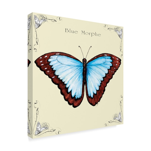 Sher Sester 'Butterfly Blue Morphe' Canvas Art,35x35